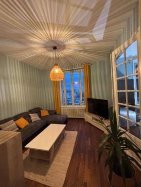 Appartement cosy sur Nancy